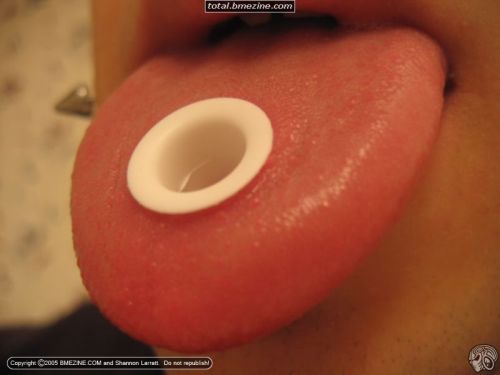 piercing7.jpg